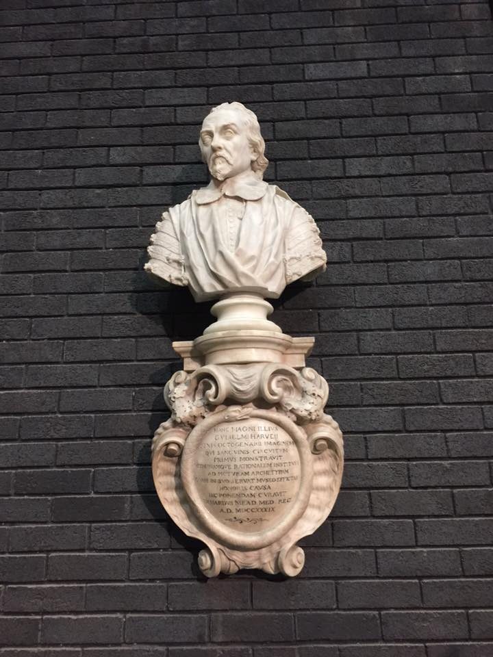 William Harvey's bust, RCP, London (by Adrian Thomas).jpg